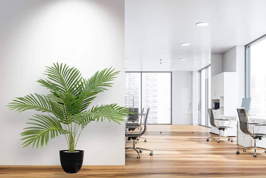 Kunstpalm - 75 cm - Afbeelding 5