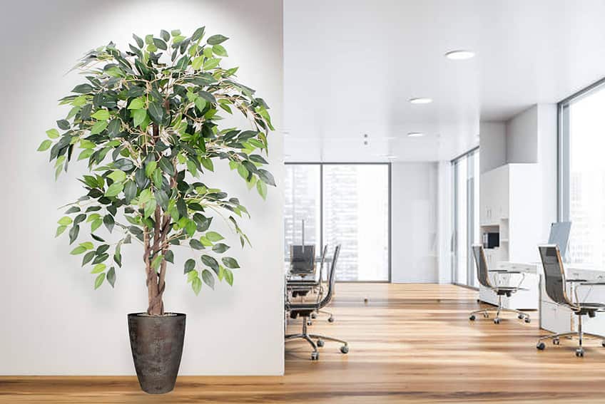 Kunstplant mini ficus - vijgenboom - 90 cm - Afbeelding 5