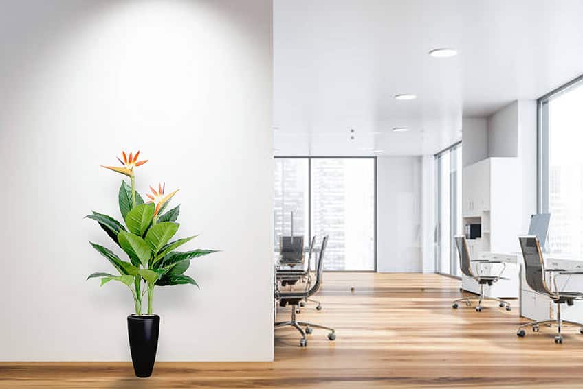 Kunstplant paradijsvogel - Strelitzia - 100 cm - Afbeelding 4