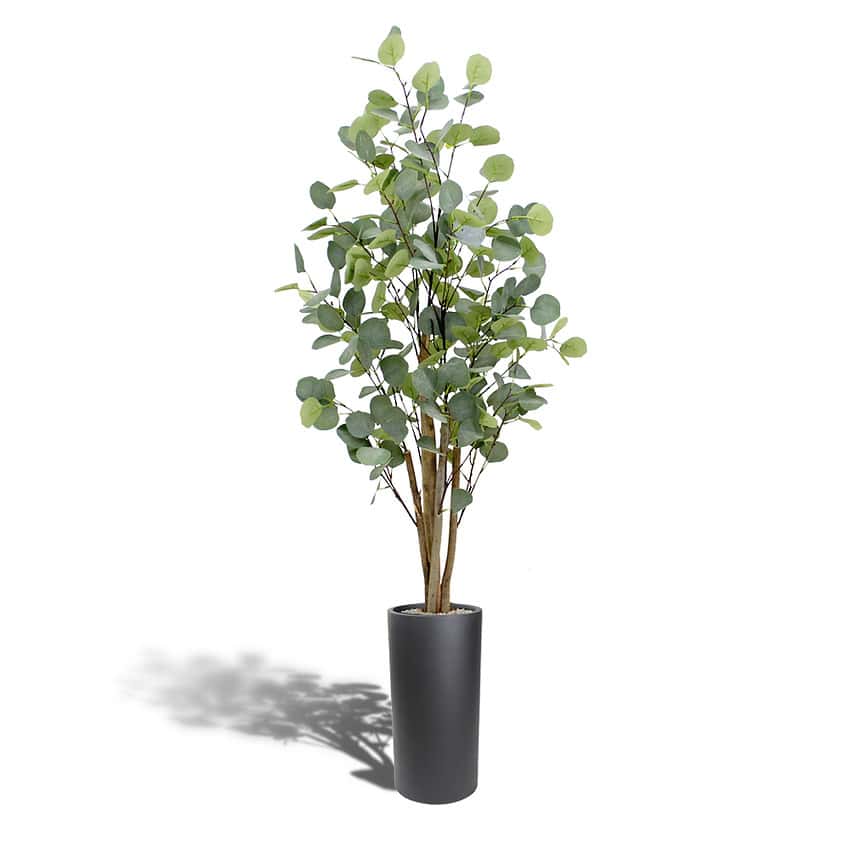 Kunstplant eucolyptus - 120 cm - Afbeelding 3