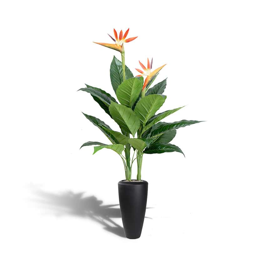 Kunstplant paradijsvogel - Strelitzia - 100 cm - Afbeelding 3