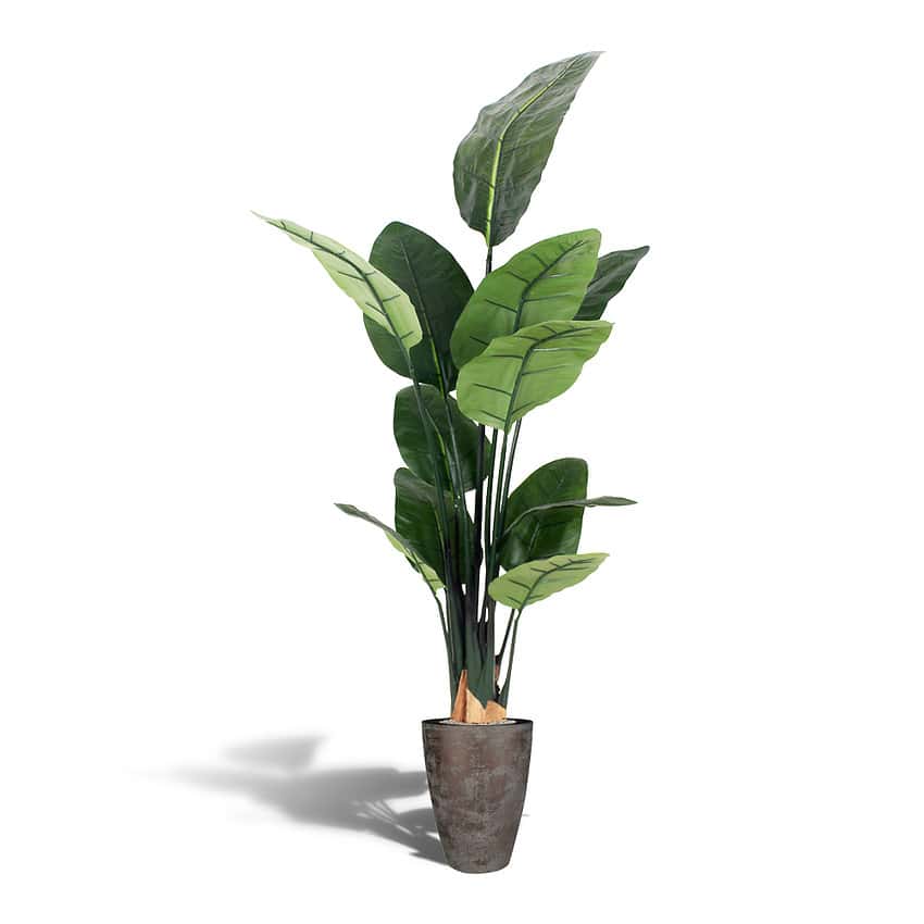 Kunstplant paradijsvogel - Strelitzia - 150 cm - Afbeelding 3