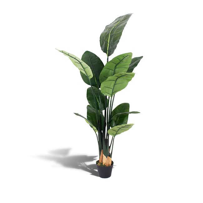 Kunstplant paradijsvogel - Strelitzia - 150 cm