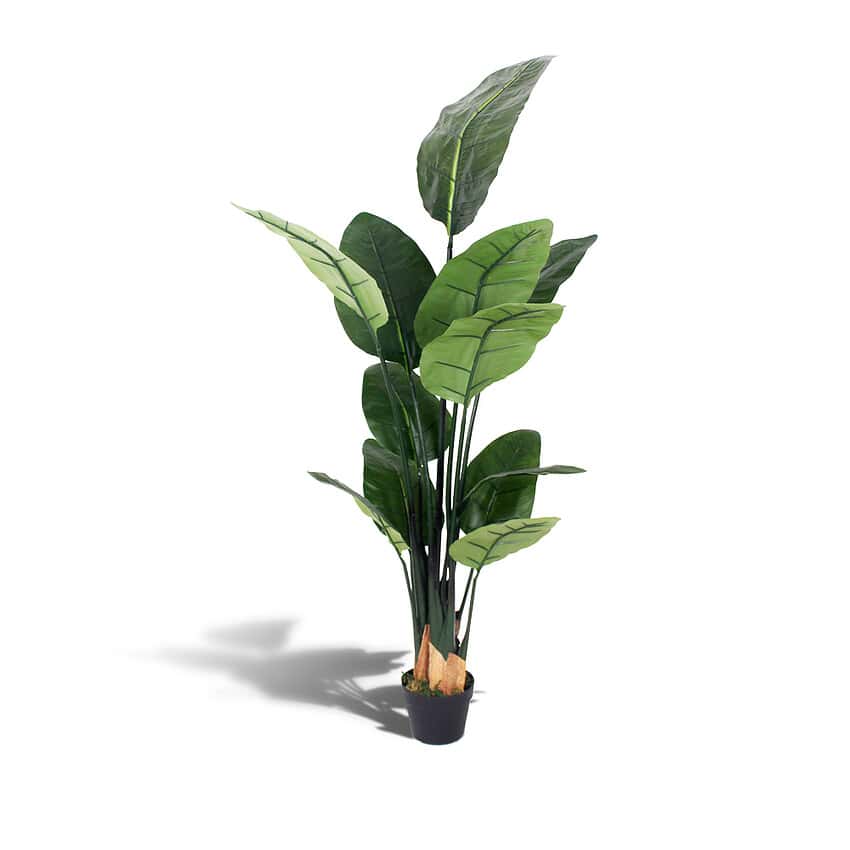 Kunstplant paradijsvogel - Strelitzia - 150 cm