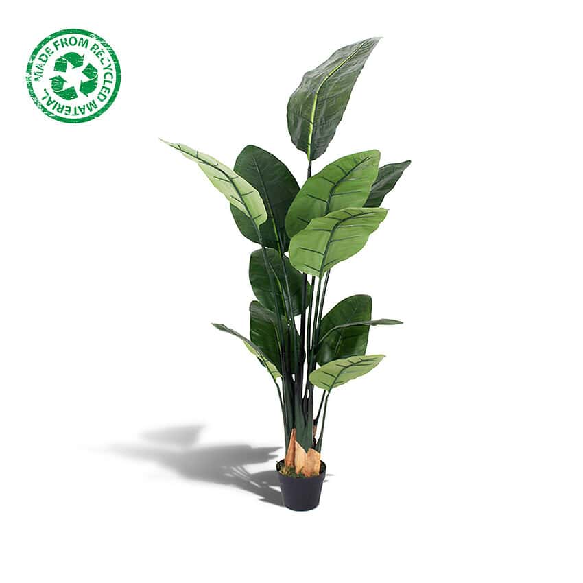 Kunstplant paradijsvogel - Strelitzia - 150 cm - Afbeelding 2