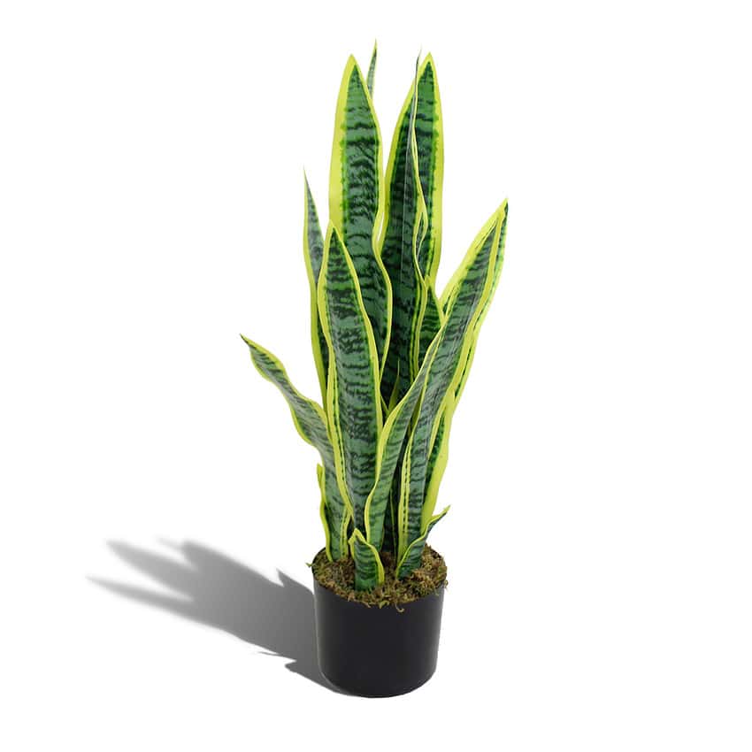 Kunstplant sansevieria - 65 cm