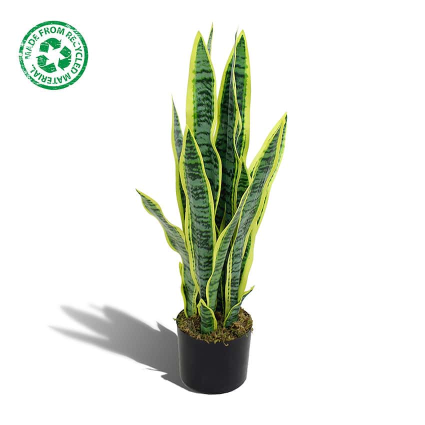 Kunstplant sansevieria - 65 cm - Afbeelding 2