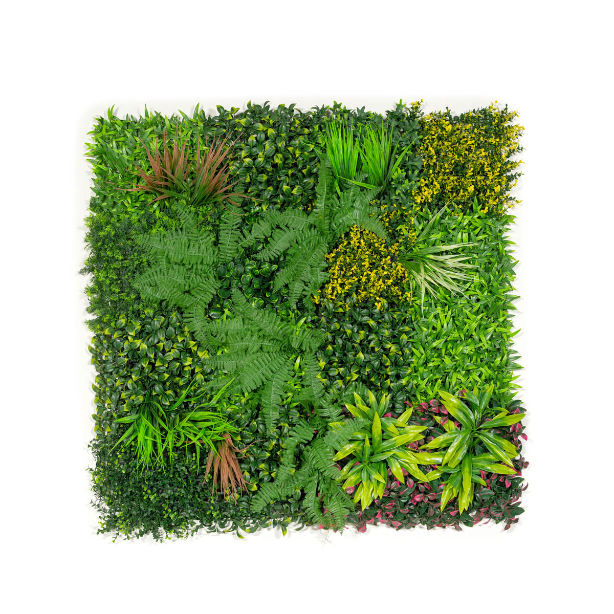 Kunsthaag plantenwand - Botanische plantenmix - 100 x 100 cm